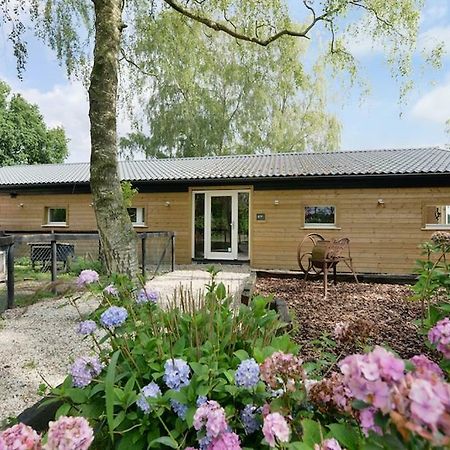 Bed and Breakfast Bos En Beek Ulvenhout Exteriér fotografie